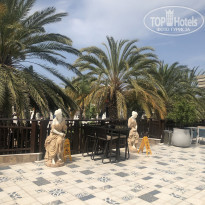 фото из отзыва ID 2342844