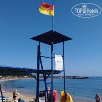 фото из отзыва ID 2342894