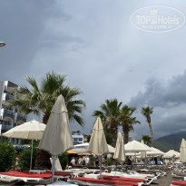 фото из отзыва ID 2342916