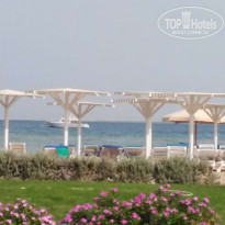 фото из отзыва ID 2342968