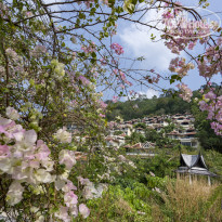 фото из отзыва ID 2342042