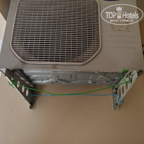 фото из отзыва ID 2343050