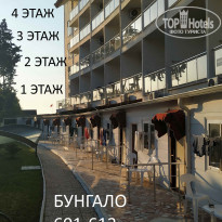 фото из отзыва ID 2343138