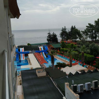 фото из отзыва ID 2343138