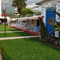 фото из отзыва ID 2343138