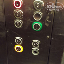 фото из отзыва ID 2343138