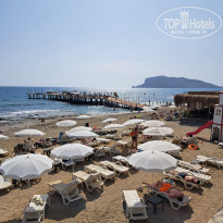 фото из отзыва ID 2343185