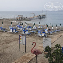 фото из отзыва ID 2343252