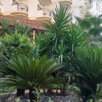 фото из отзыва ID 2343293