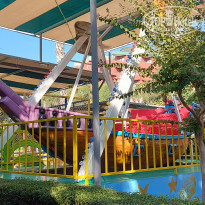 фото из отзыва ID 2343293