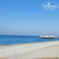 фото из отзыва ID 2343293