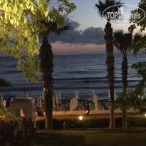 фото из отзыва ID 2343300