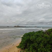 фото из отзыва ID 2343313