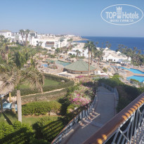 фото из отзыва ID 2343422