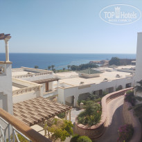 фото из отзыва ID 2343422