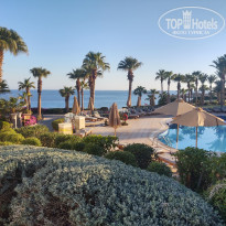 фото из отзыва ID 2343422