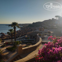 фото из отзыва ID 2343422