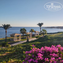 фото из отзыва ID 2343422