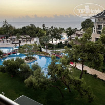 фото из отзыва ID 2343470