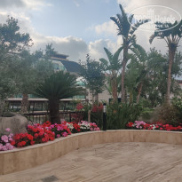 фото из отзыва ID 2343472