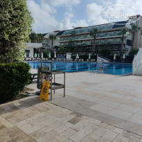 фото из отзыва ID 2343472