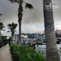 фото из отзыва ID 2343472