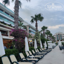 фото из отзыва ID 2343472