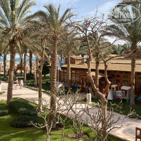 фото из отзыва ID 2343523