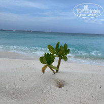 фото из отзыва ID 2343640