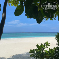 фото из отзыва ID 2343640