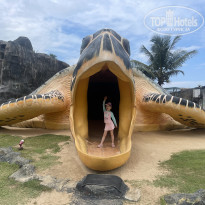 фото из отзыва ID 2343684