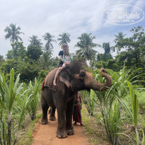 фото из отзыва ID 2343684