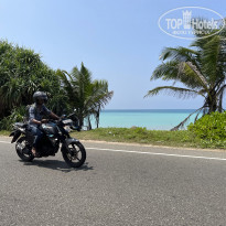 фото из отзыва ID 2343684