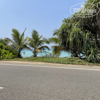 фото из отзыва ID 2343684