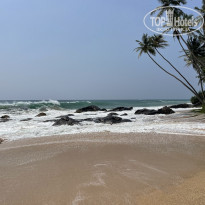 фото из отзыва ID 2343684