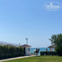 фото из отзыва ID 2343801