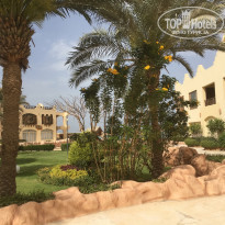 фото из отзыва ID 2343854