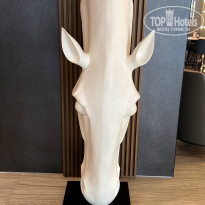 фото из отзыва ID 2343993