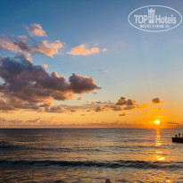 фото из отзыва ID 2344018