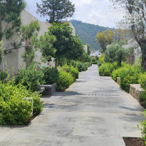 фото из отзыва ID 2344070