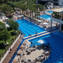 фото из отзыва ID 2344089