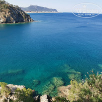 фото из отзыва ID 2344140