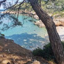 фото из отзыва ID 2344140