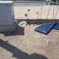 фото из отзыва ID 2344162