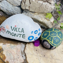 фото из отзыва ID 2344207