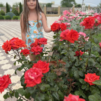 фото из отзыва ID 2344236