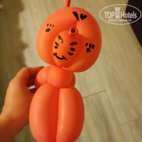 фото из отзыва ID 2344261