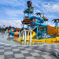 фото из отзыва ID 2344261