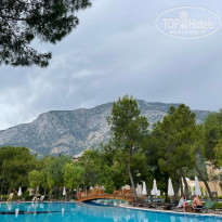 фото из отзыва ID 2344333