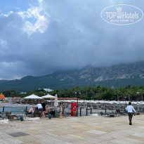 фото из отзыва ID 2344333